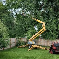 Best Hedge Trimming  in USA